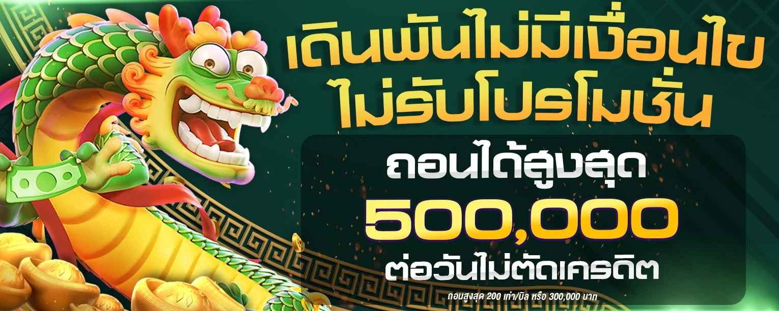 สล็อตออนไลน์ Mplay555 รวมเกมค่ายดังบน dplay555.biz