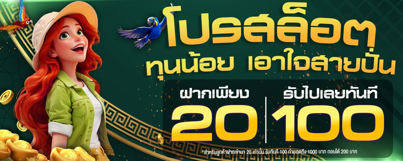 โปรโมชั่น Mplay555 โบนัสสมาชิกใหม่บน dplay555.biz